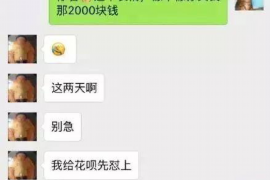 平湖专业催债公司的市场需求和前景分析